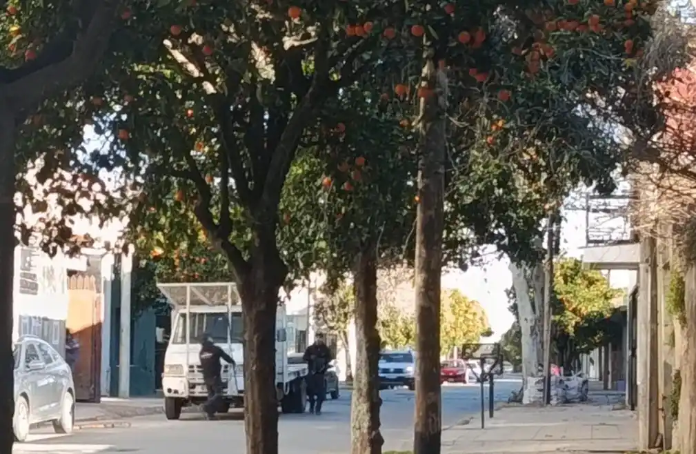 edificio salta 400 siguen trabajando