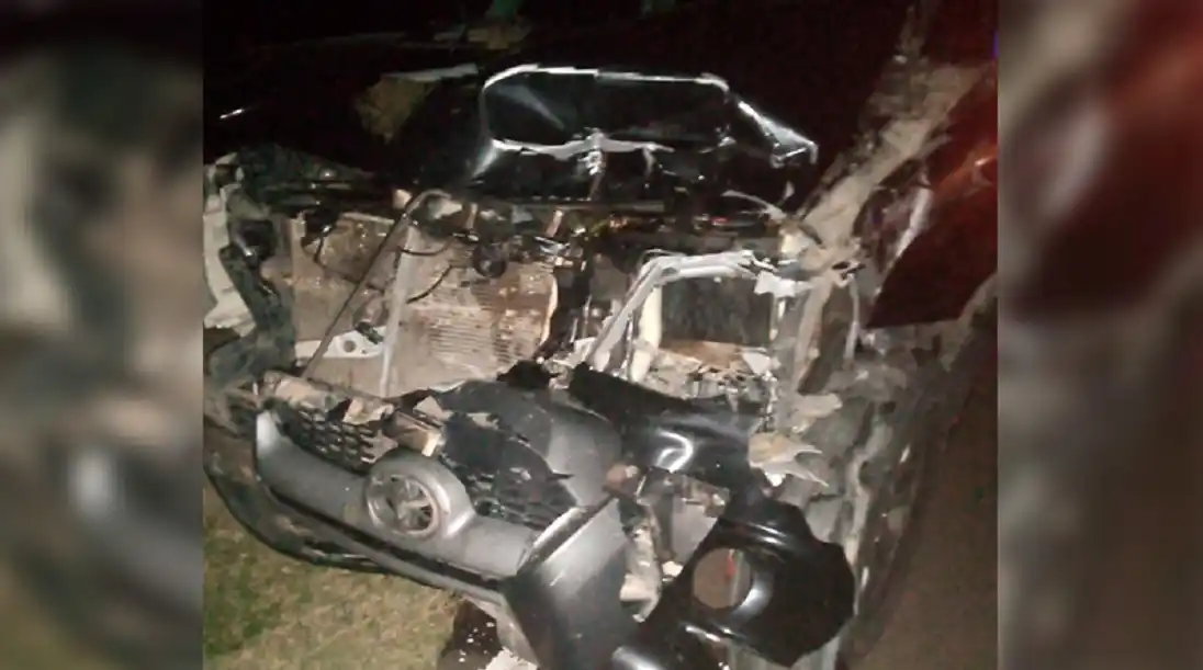 Una camioneta chocó contra una vaca que se le atravesó en la ruta: hospitalizaron al conductor