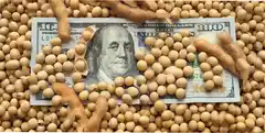 Los dólares del agro no alcanzan