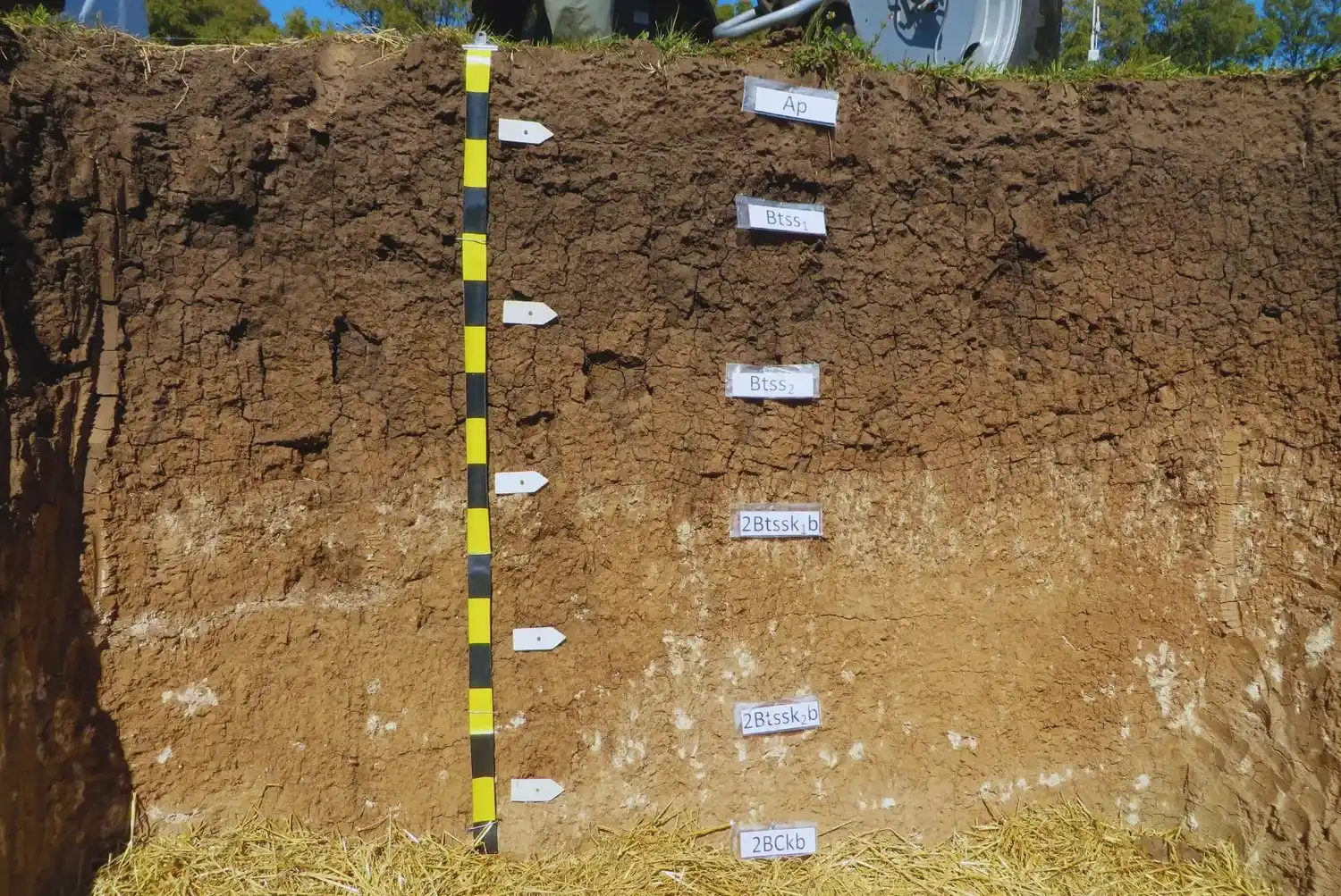 SisINTA contiene 7000 perfiles de suelos georreferenciados