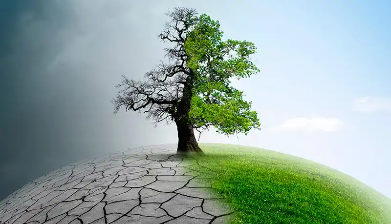 Aseguran que la humanidad ya superó siete de los ocho “límites para un planeta seguro”