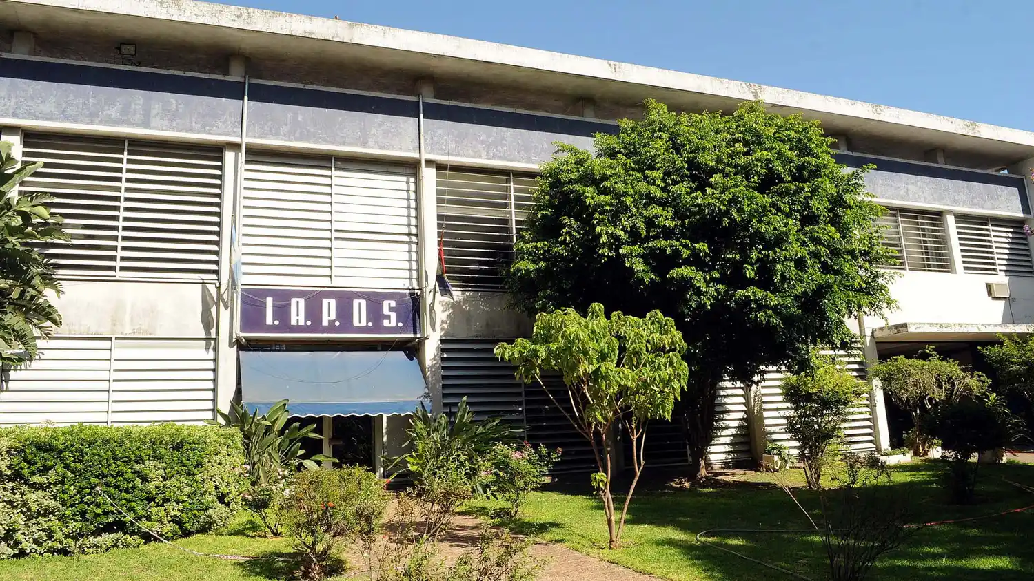 Iapos mejora el acceso al subsidio por celiaquía para sus afiliados