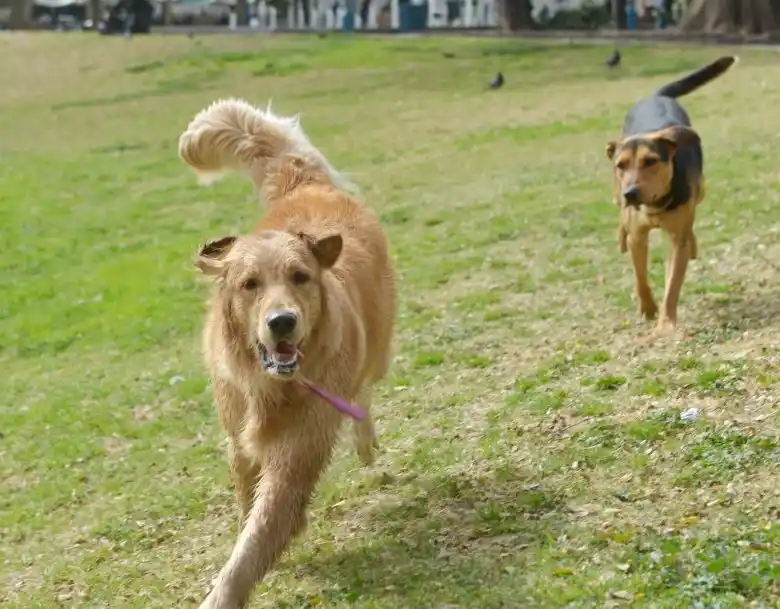 Suciedad en lugares públicos