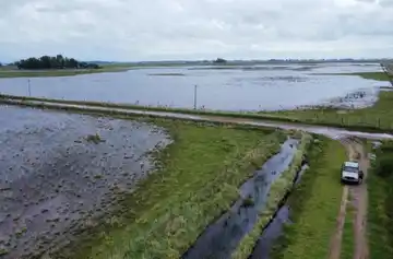 Alerta agropecuaria: casi 6 millones de hectáreas afectadas por inundaciones en la provincia