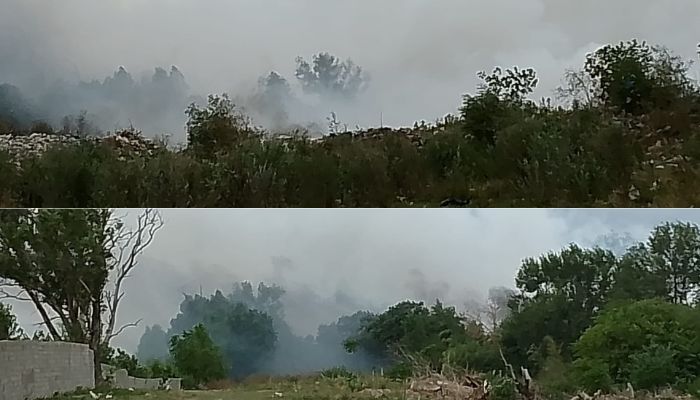 “Humo en el basural ahora”