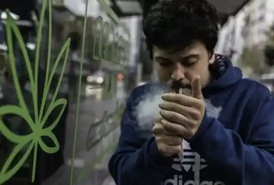 Marihuana legal: Uruguay empieza a venderla en farmacias el 19 de julio