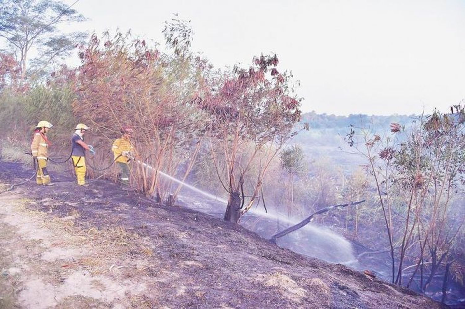 Nueve provincias tienen focos activos de incendios forestales