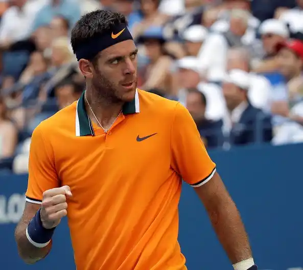 Del Potro derrotó a Isner y se metió en semifinales del US Open
