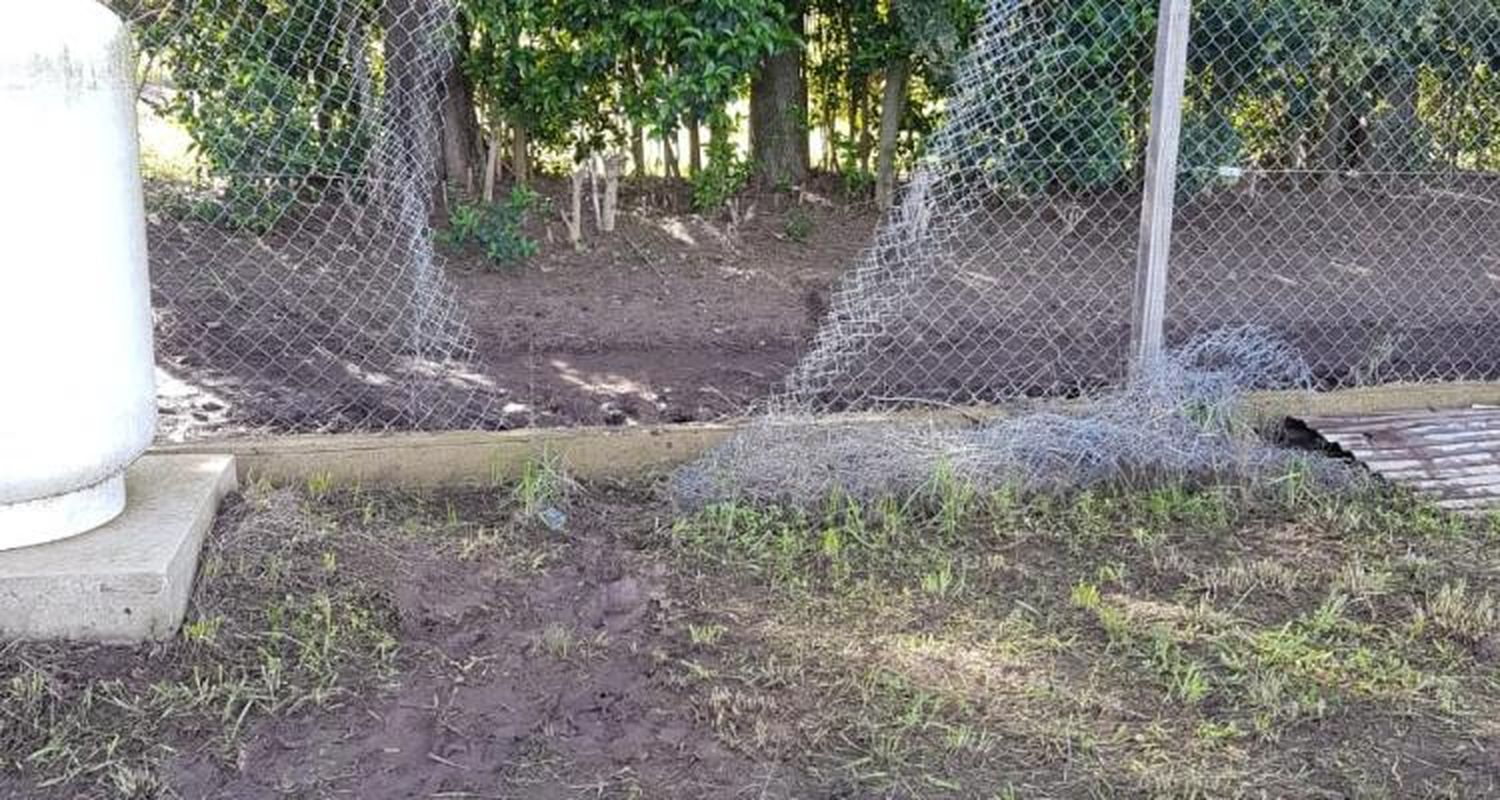 Villa Jardín: Alerta y preocupación por robos y saqueos
