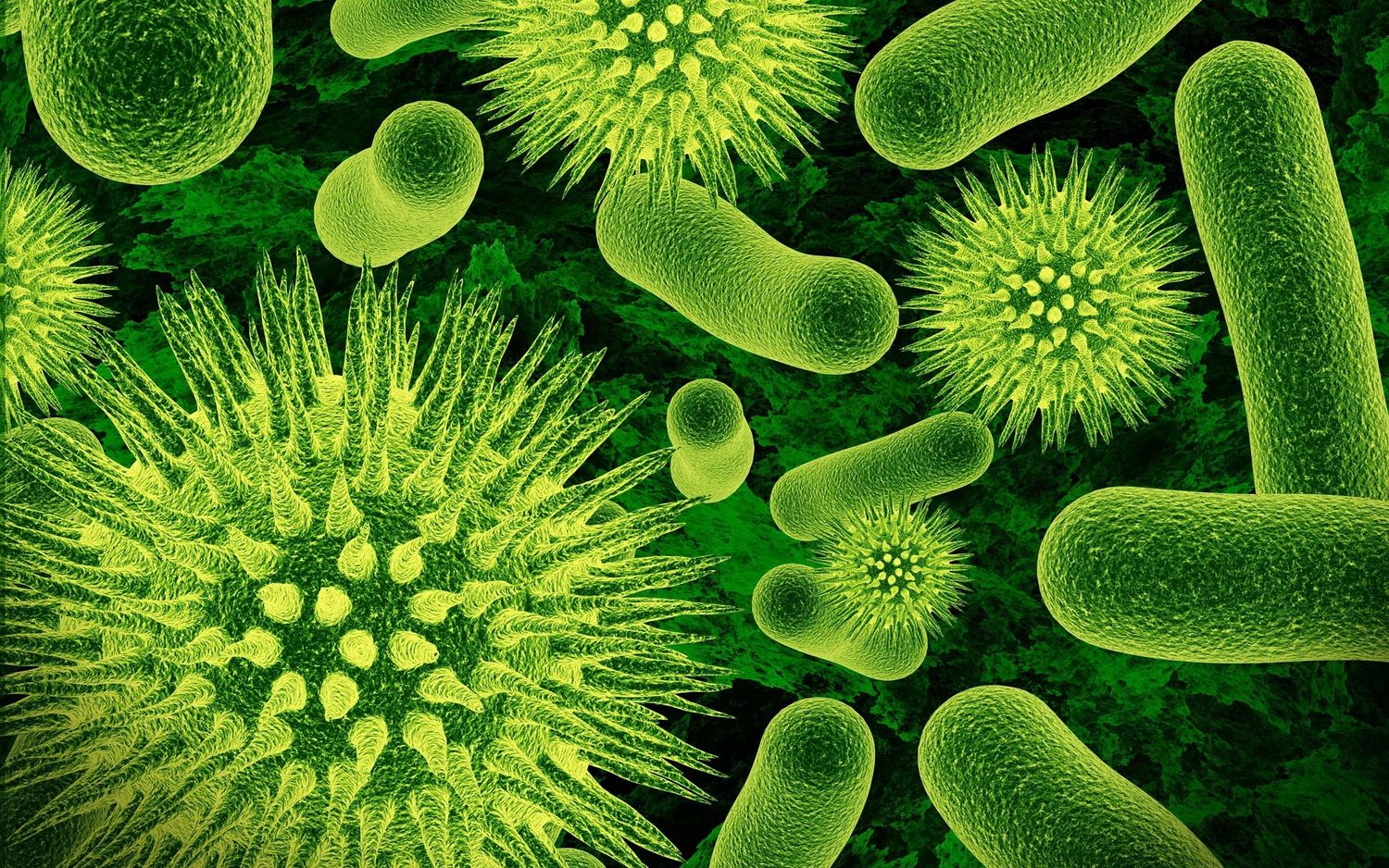 Virus y bacterias