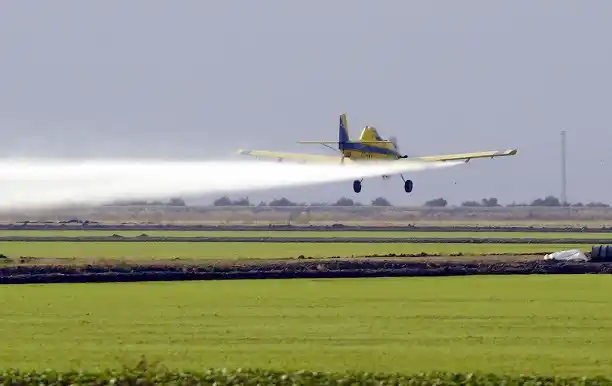 Los agroquímicos tienen efectos nocivos a corto y largo plazo