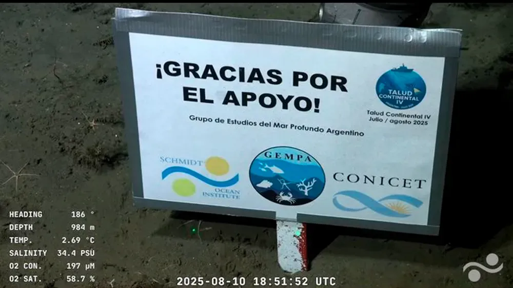 “Gracias por el apoyo”: el cartel de los científicos del Conicet en el fondo del mar que emocionó a todos