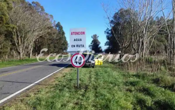 Muertes en la ruta 86