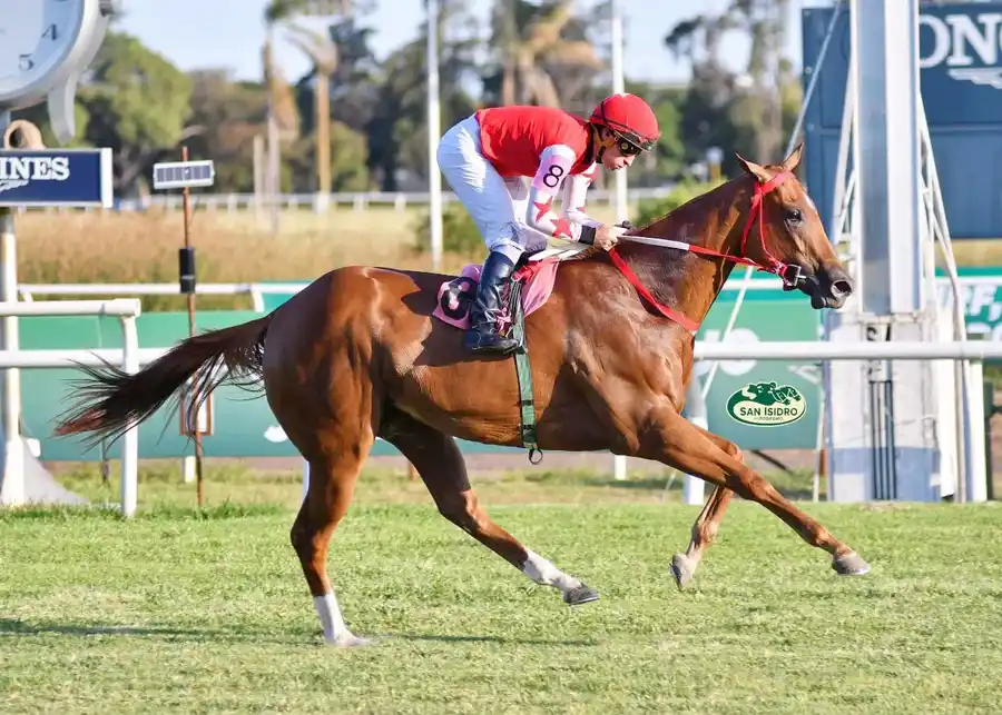 Sábado 23: Actividad Hipódromo de San Isidro