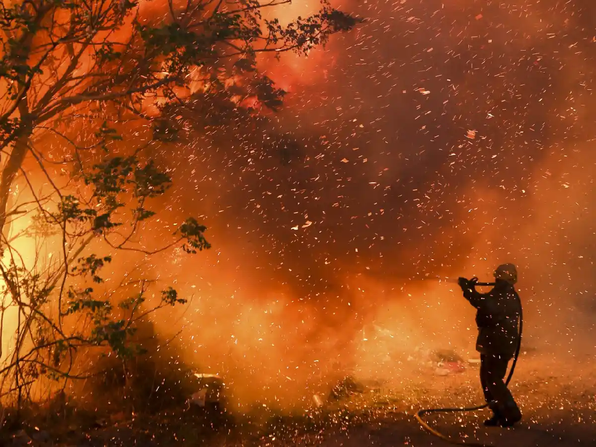 Incendios forestales: declaran la emergencia ígnea en todo el país por un año