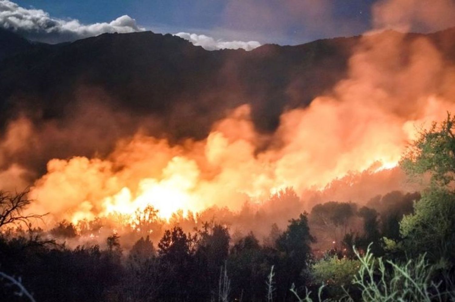 Incendios forestales: carbonizaron una superficie que equivale 59 veces a la Ciudad Bs.As