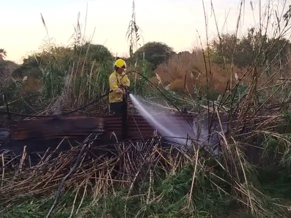 Un incendio en un cañaveral movilizó a los bomberos de la región