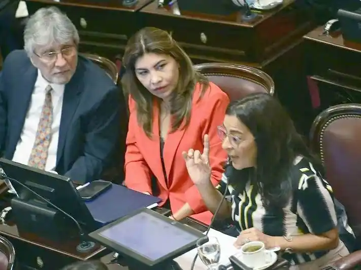 El Senado define el reparto de las Bicamerales: 
LLA acorrala al kirchnerismo en áreas clave