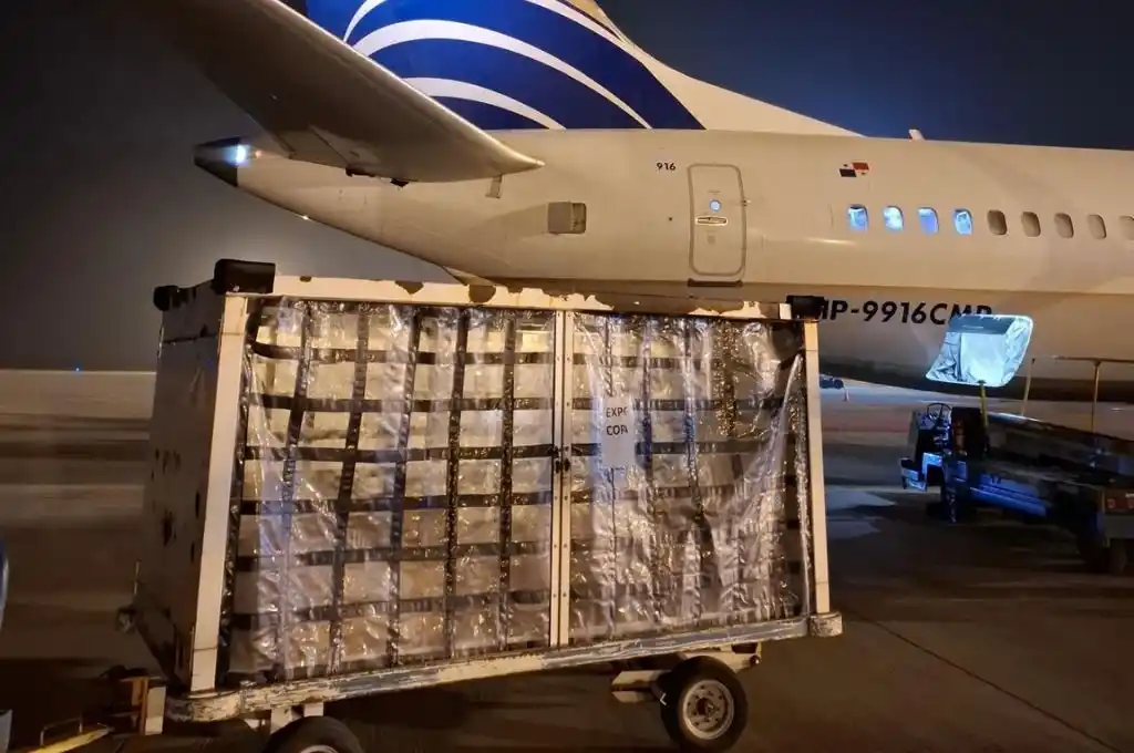 La primera exportación incluyó más de 300 kilos de carne.