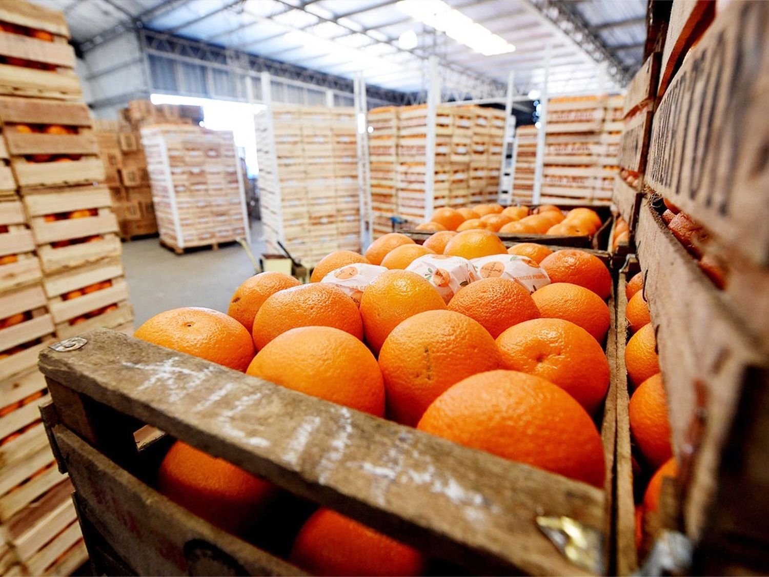 Anunciaron la desregulación para el mercado de frutas: “Se exportará lo que demande el mercado"