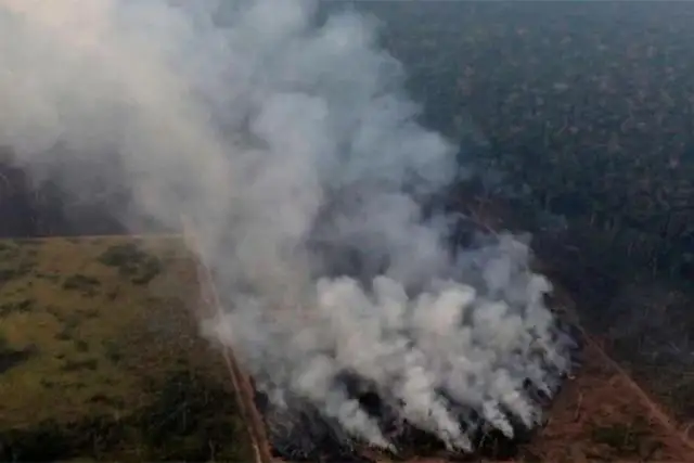 El humo del incendio en el Amazonas ya afecta a Entre Ríos y otras 16 provincias

