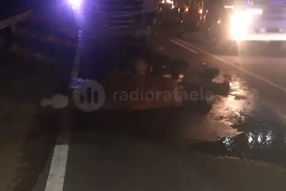 Un camión impactó contra varios vacunos que estaban sobre Ruta Nacional 34