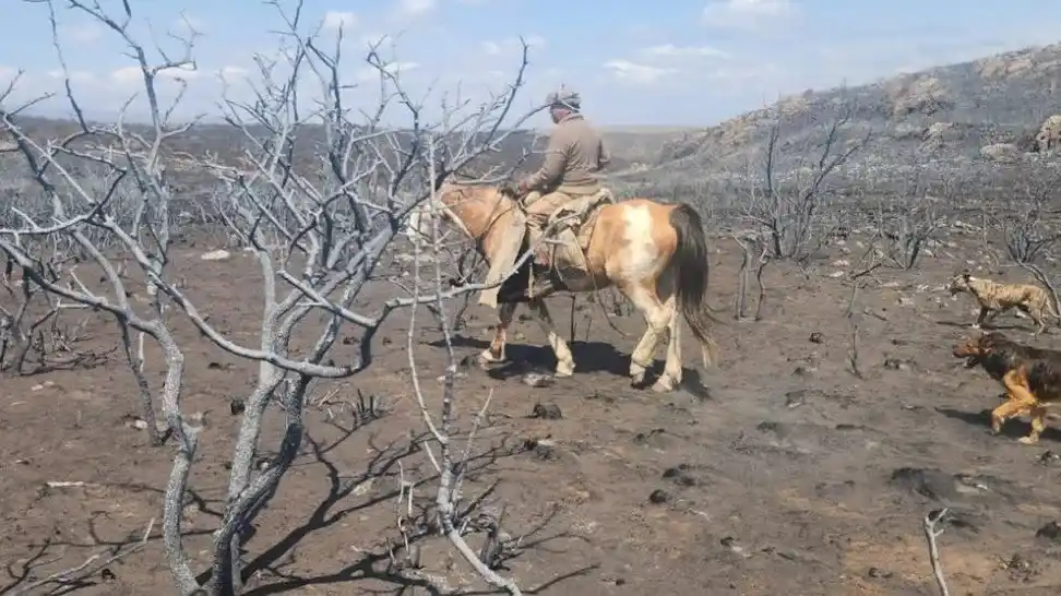 El drama de los incendios en las sierras de Córdoba en primera persona