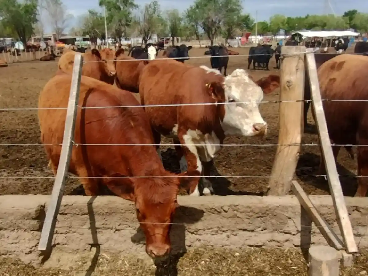 Córdoba: productores dejarán de pagar tasas por trámites administrativos