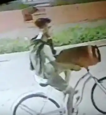 Robo de garrafa a jubilada