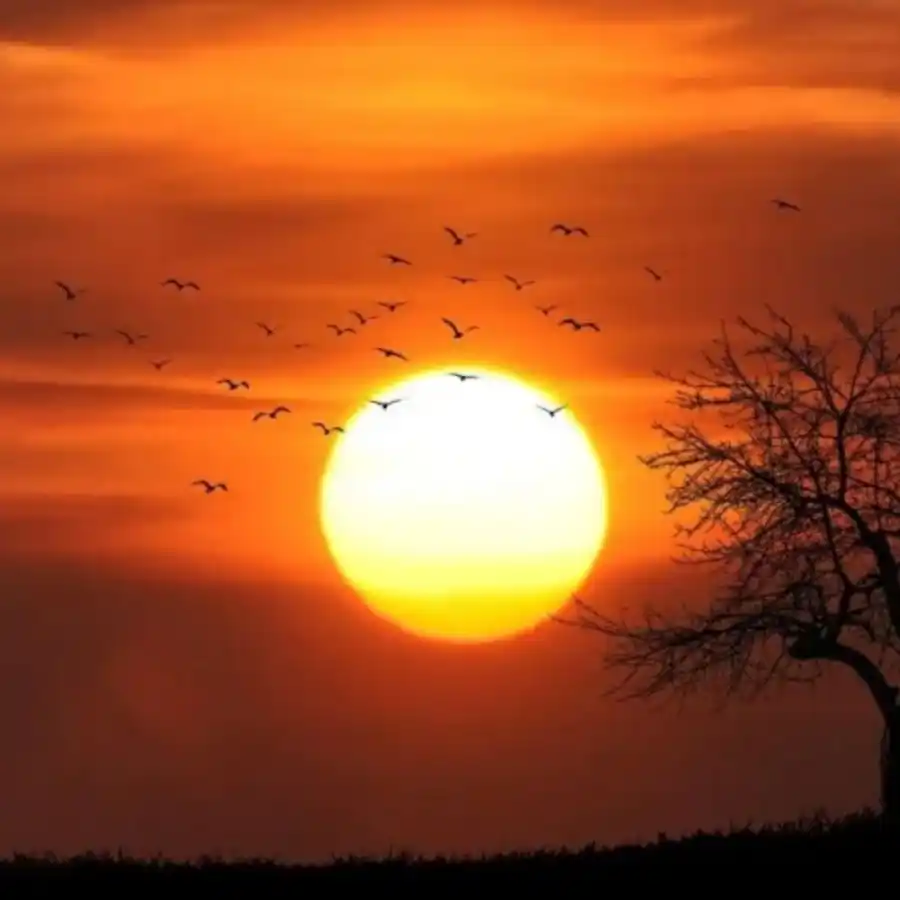 Se produjo el solsticio y comienza el verano: cuál será su duración astronómica