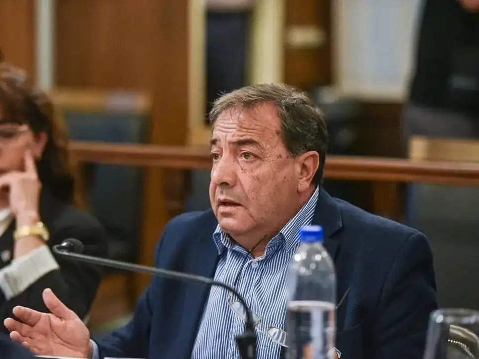 Sanzberro: “No necesitamos otra comisión para buscar información que el Estado ya tiene”