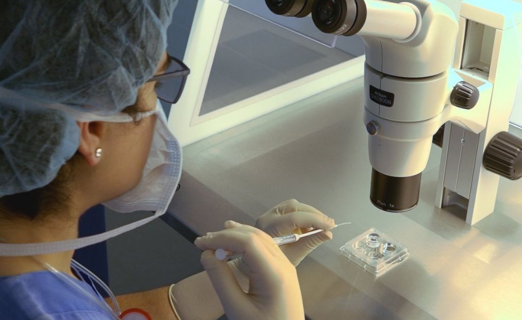 El Parlamento de Portugal aprueba la inseminación “post mortem”