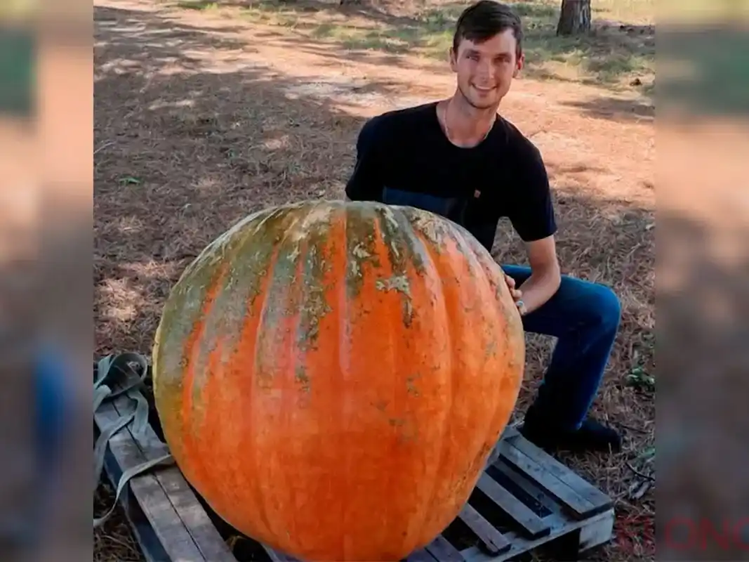 Entrerriano cosechó zapallo gigante de 127 kilos