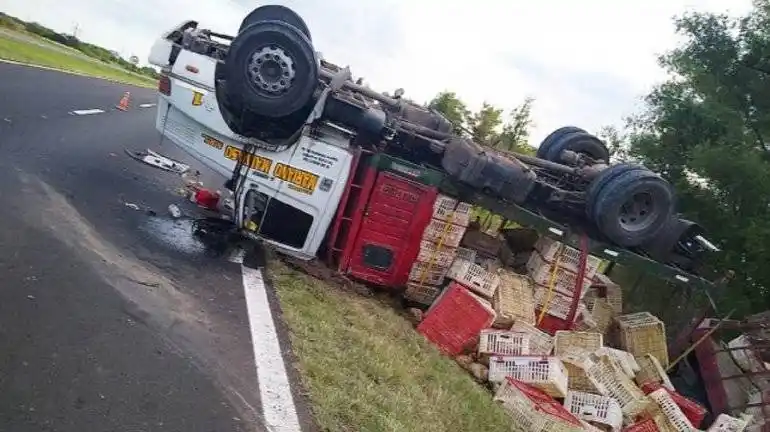 Ruta 12: volcó un camión que transportaba pollos vivos