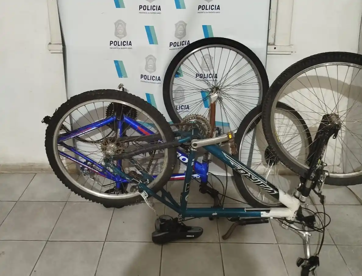 Dos de las bicicletas robadas fueron recuperadas por la Policía.