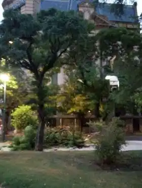 La tormenta hizo destrozos en Tres Arroyos