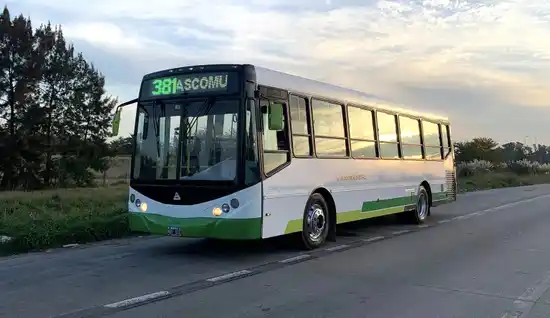 Chascomús–Ranchos: la Línea 381 prepara nuevos horarios, mejoras en la flota y una convocatoria laboral