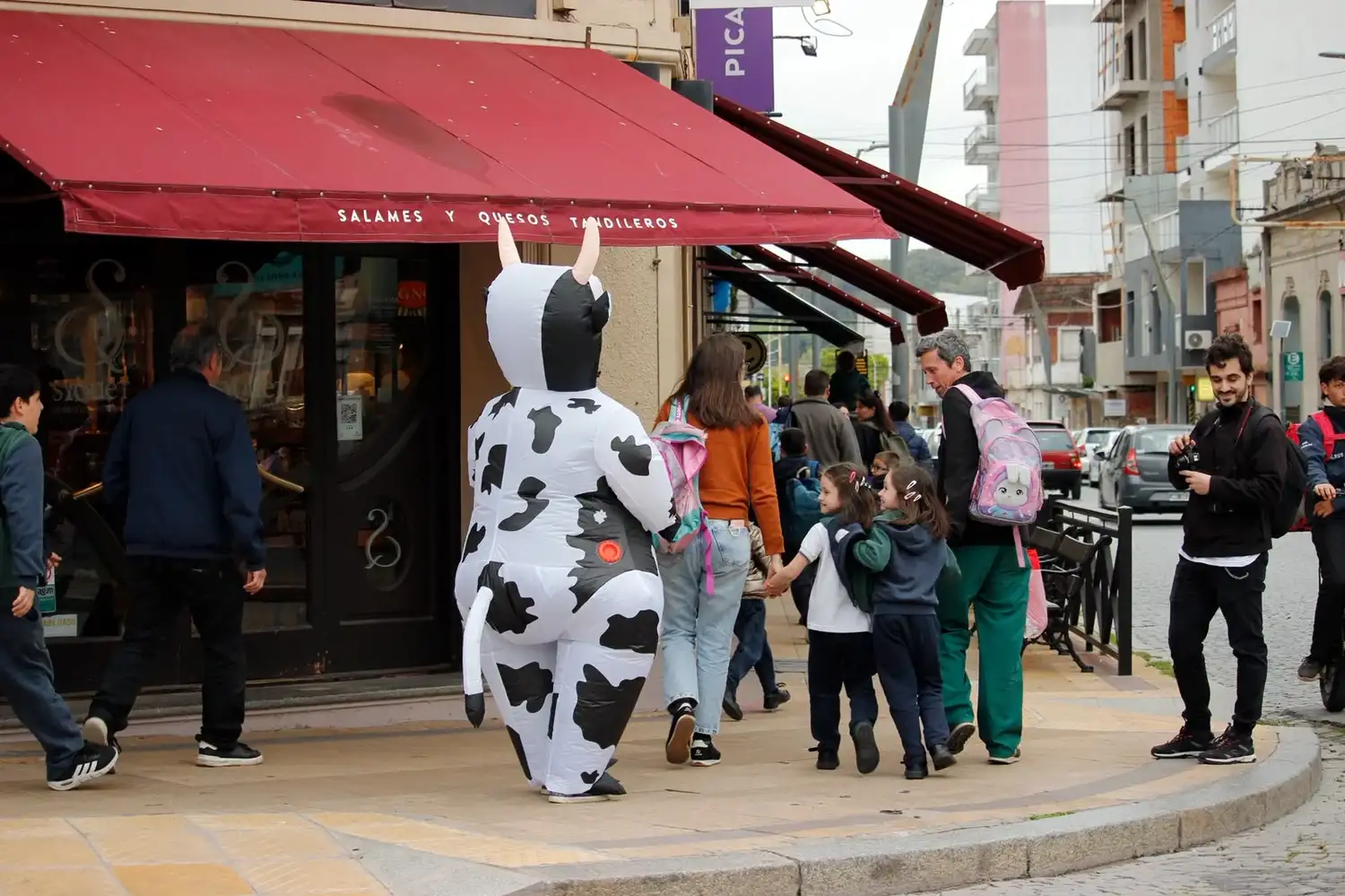 vaca en Tandil - 4