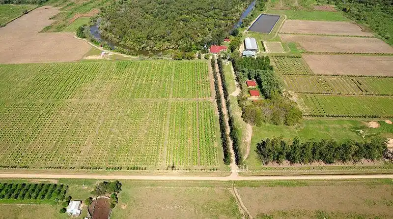 Formosa es pionera en políticas alimentarias
que garantizan la equidad nutricional