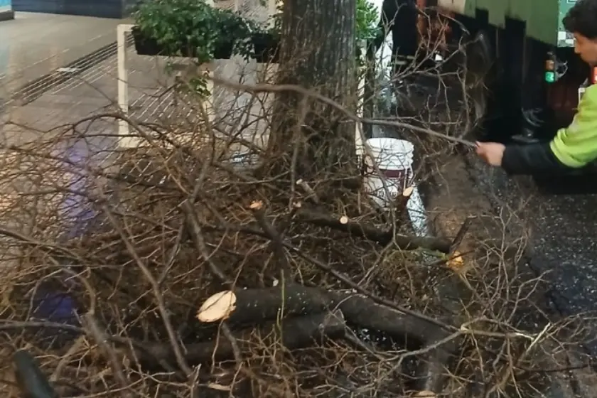 Santa Rosa en Rosario: más de 75 milímetros de lluvia, ráfagas de hasta 40 kilómetros por hora y ramas caídas