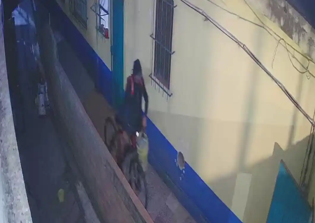 La secuencia fue corroborada mediante registros fílmicos aportados por la propietaria.