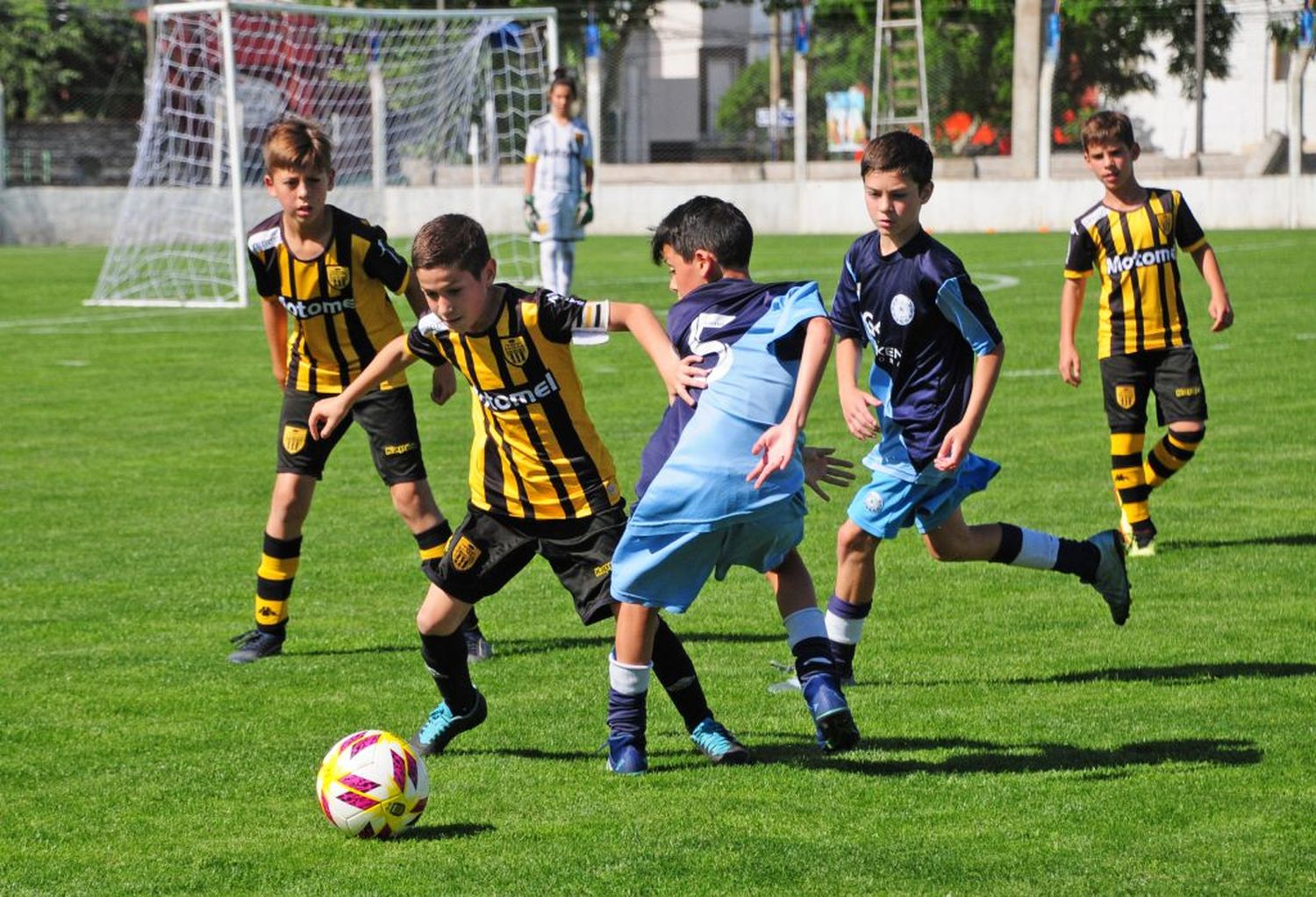 Finales de infantiles y cierre de la temporada