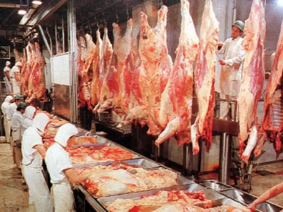 Un estudio del INTI ayudó al pais a ser el segundo exportador de carne a Israel