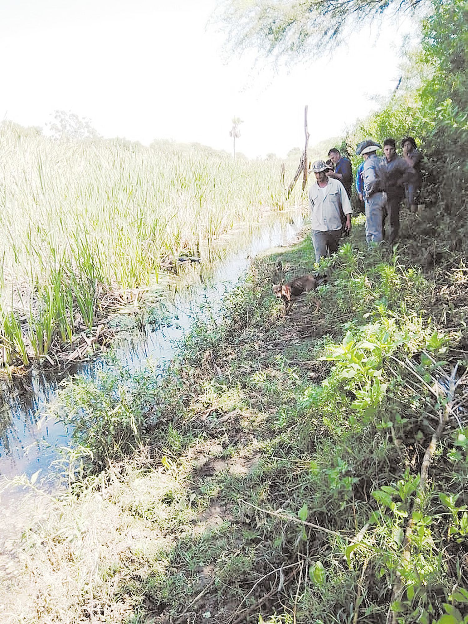 Un hombre falleció ahogado 
en aguas del Riacho He Hé