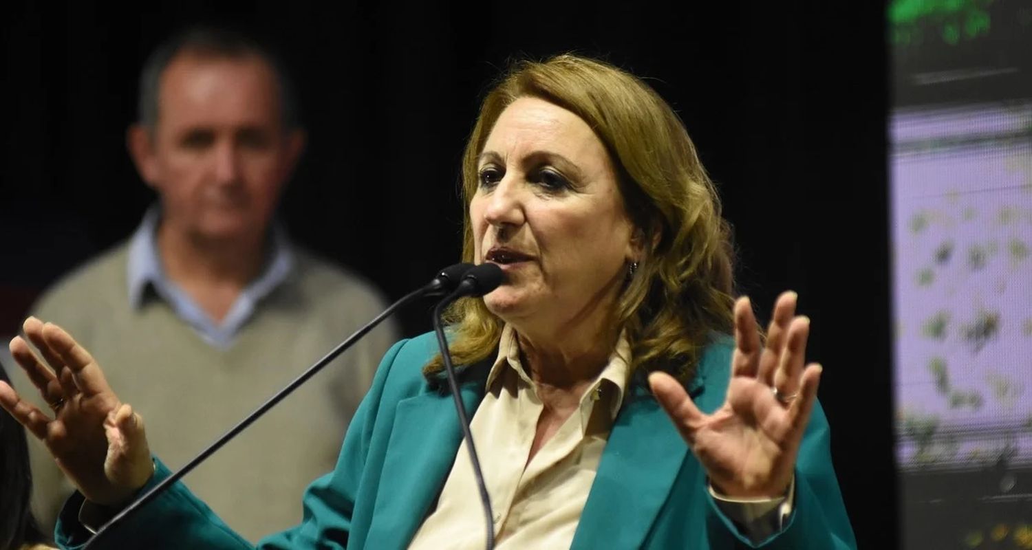 Fein, preside el comité nacional del PS y es diputada por Santa Fe. Crédito: Manuel Fabatía