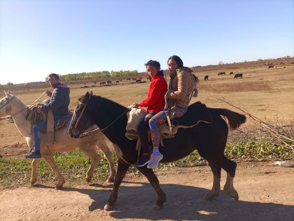 Restitución de caballos de La Tosquera: entregaron 39 animales, informaron 8 muertos y 2 quedaron en observación