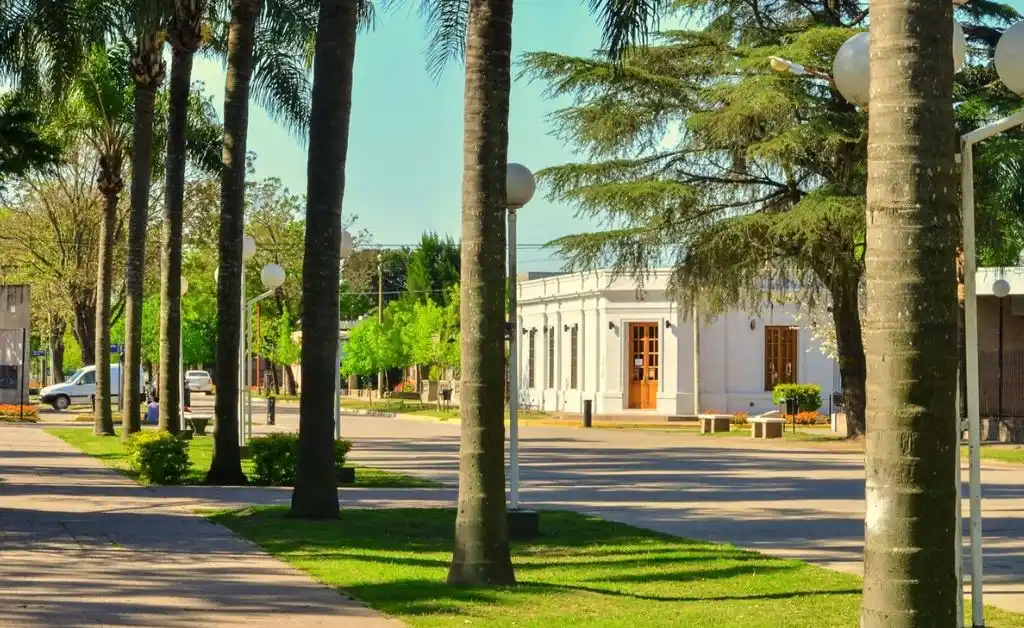 Nelson: 20 personas con síntomas de triquinosis luego de una carneada