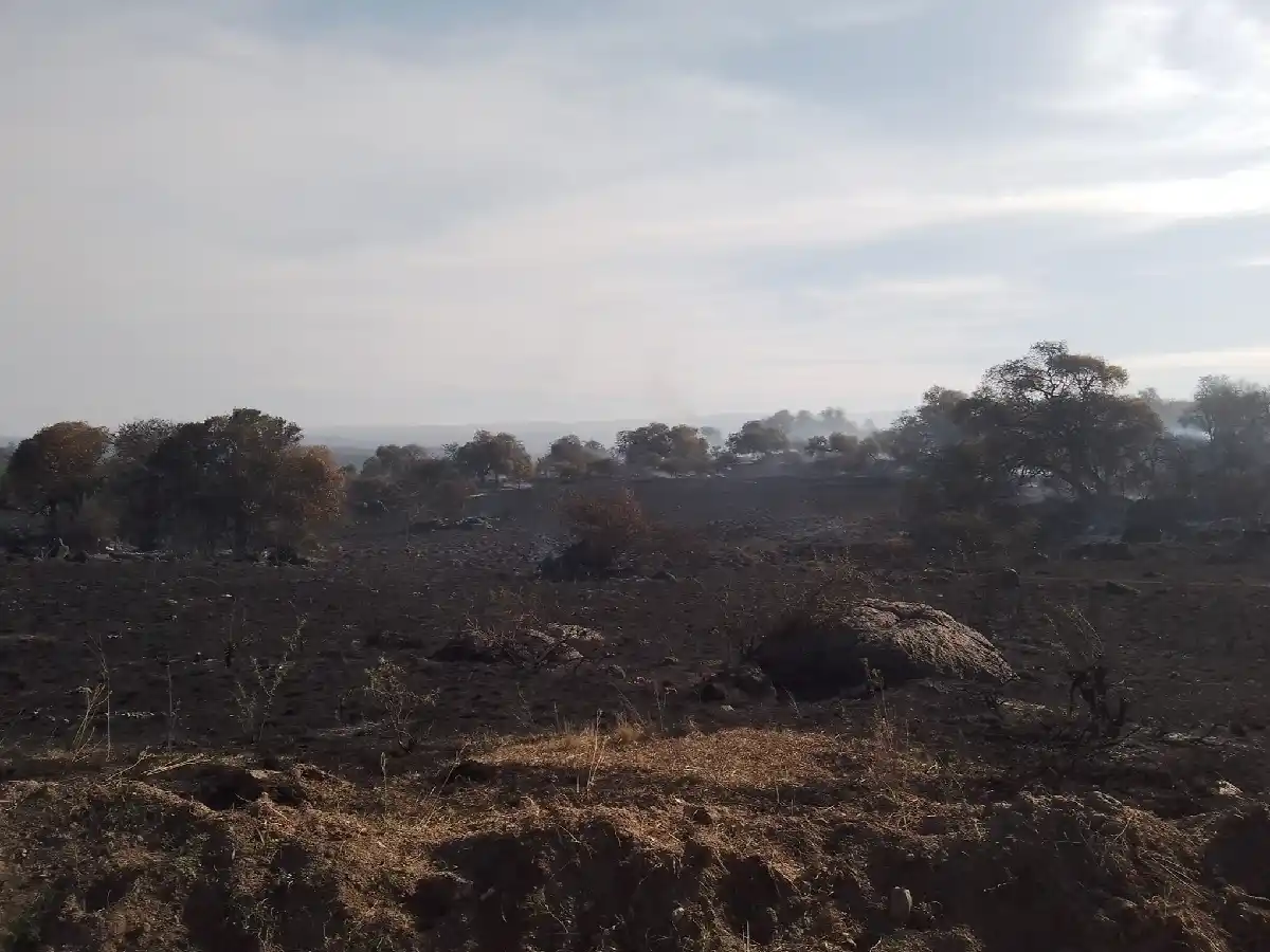 Incendio fatal en Yacanto de Calamuchita: murió un joven que intentó apagarlo