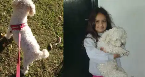 Buscan a Coco