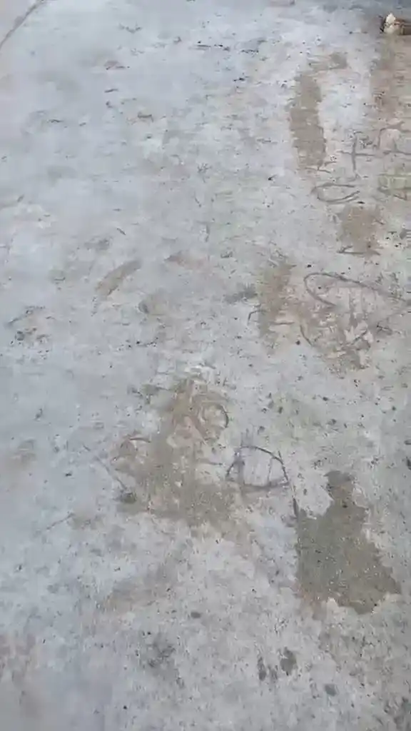 Playón - 1
